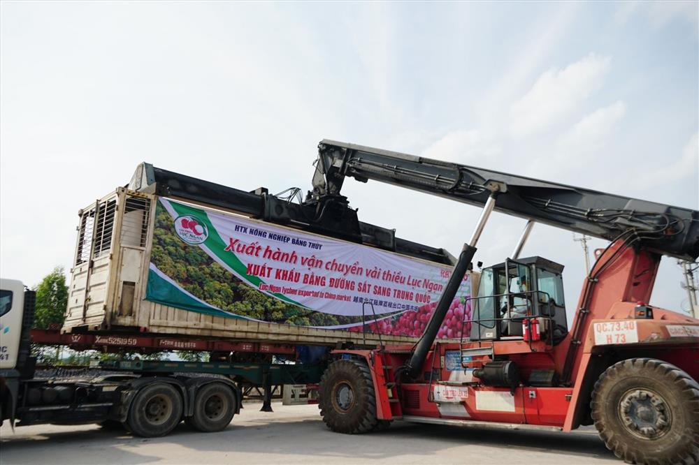  Vải thiều Bắc Giang xuất khẩu chính ngạch sang Trung Quốc qua đường sắt Ga Kép 
